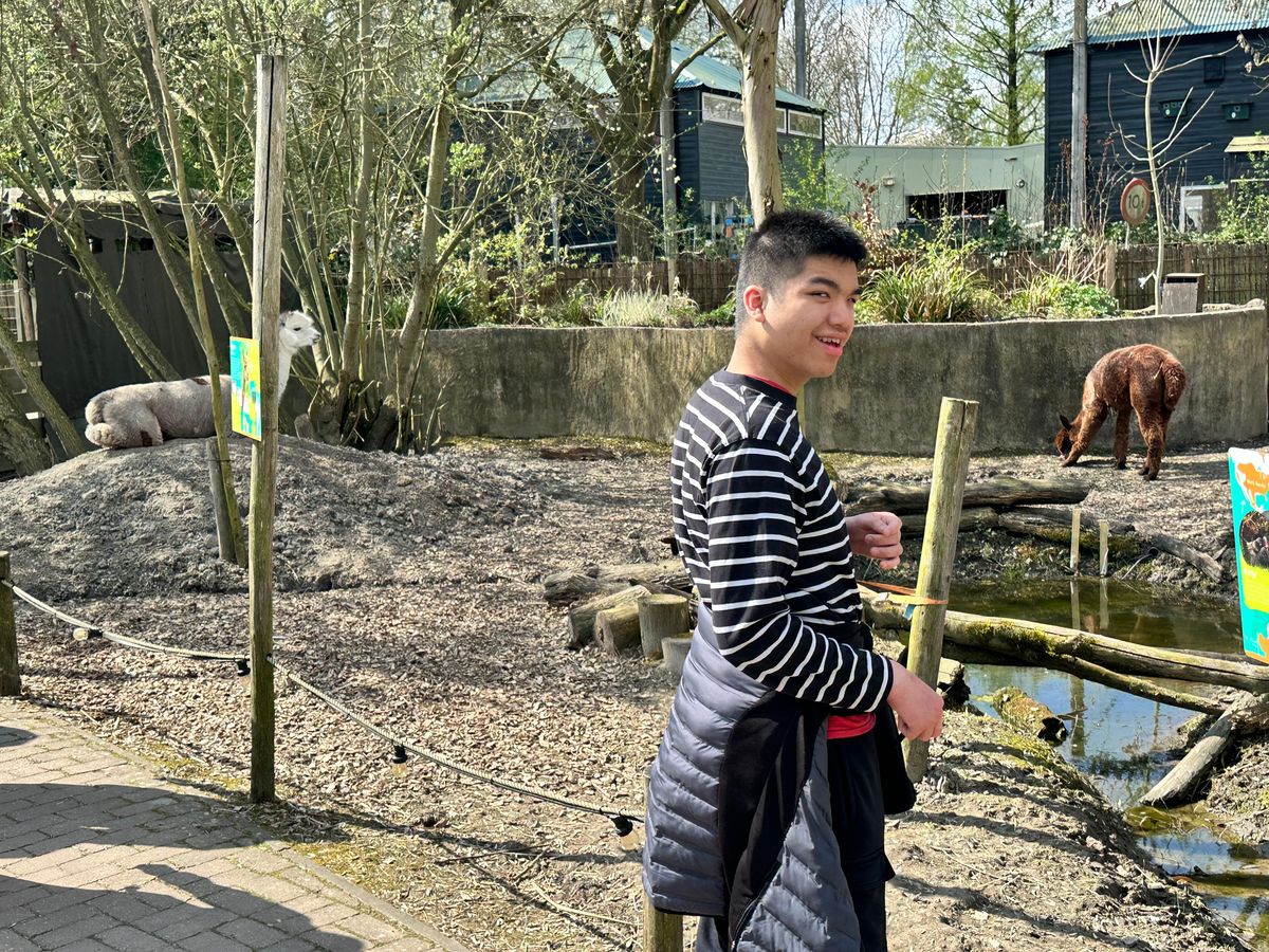 Talent aait een dier tijdens een bezoek aan de kinderboerderij
