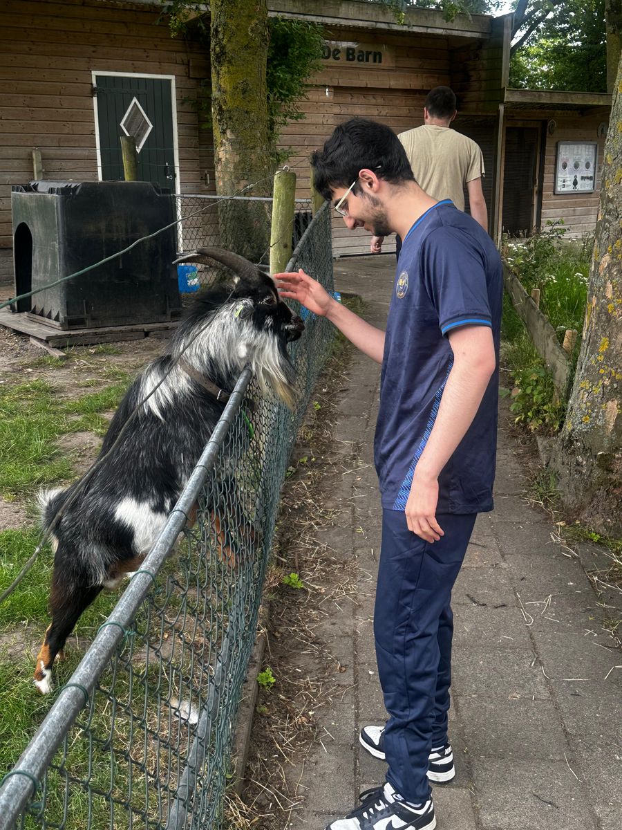 Talent heeft contact met een dier op de kinderboerderij