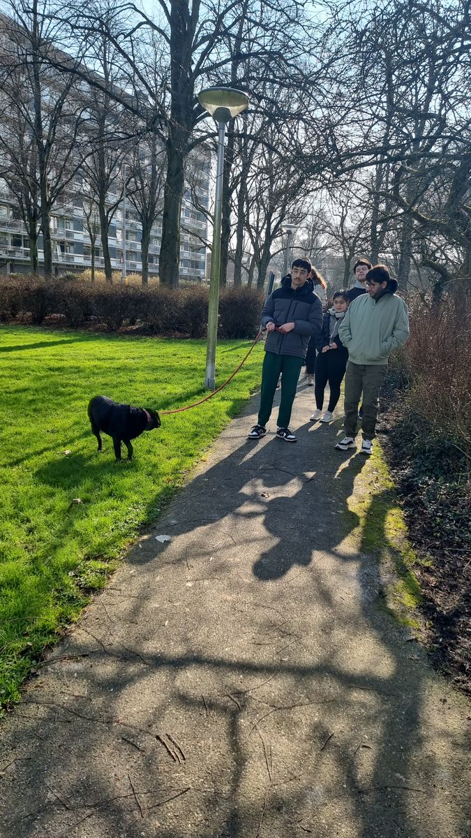 Talenten wandelen samen met een hond in de buurt