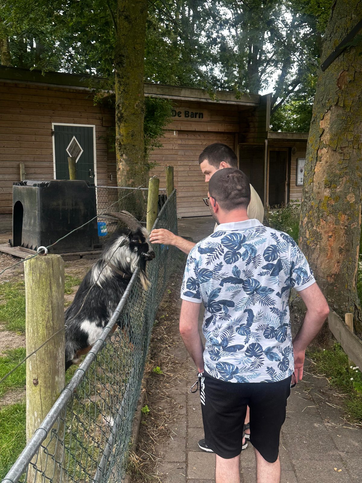 Talenten aaien een geit tijdens een bezoek aan de boerderij