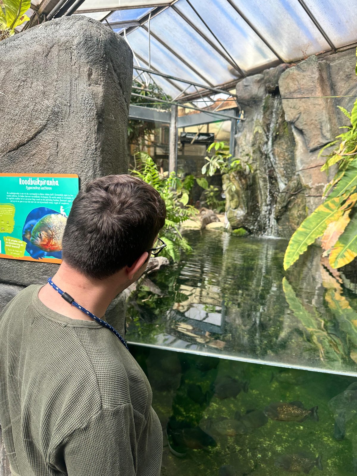 Talent bekijkt de vissen tijdens een bezoek aan het aquarium